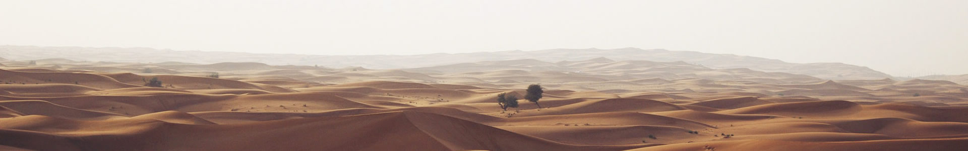 ɽγеƼ޹˾